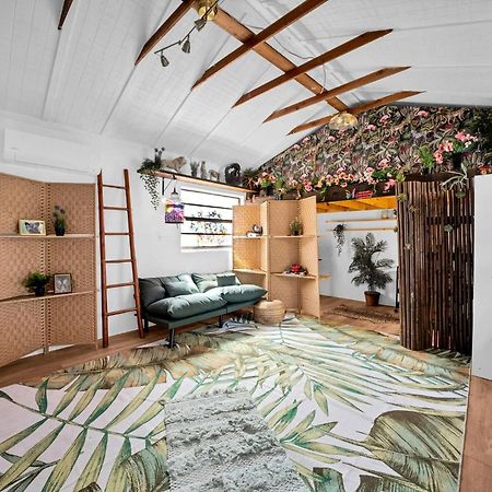 Zen Jungle House By Busch Gardens Sleeps 12 With Outdoor Games & Detached Play Space! Τάμπα Εξωτερικό φωτογραφία