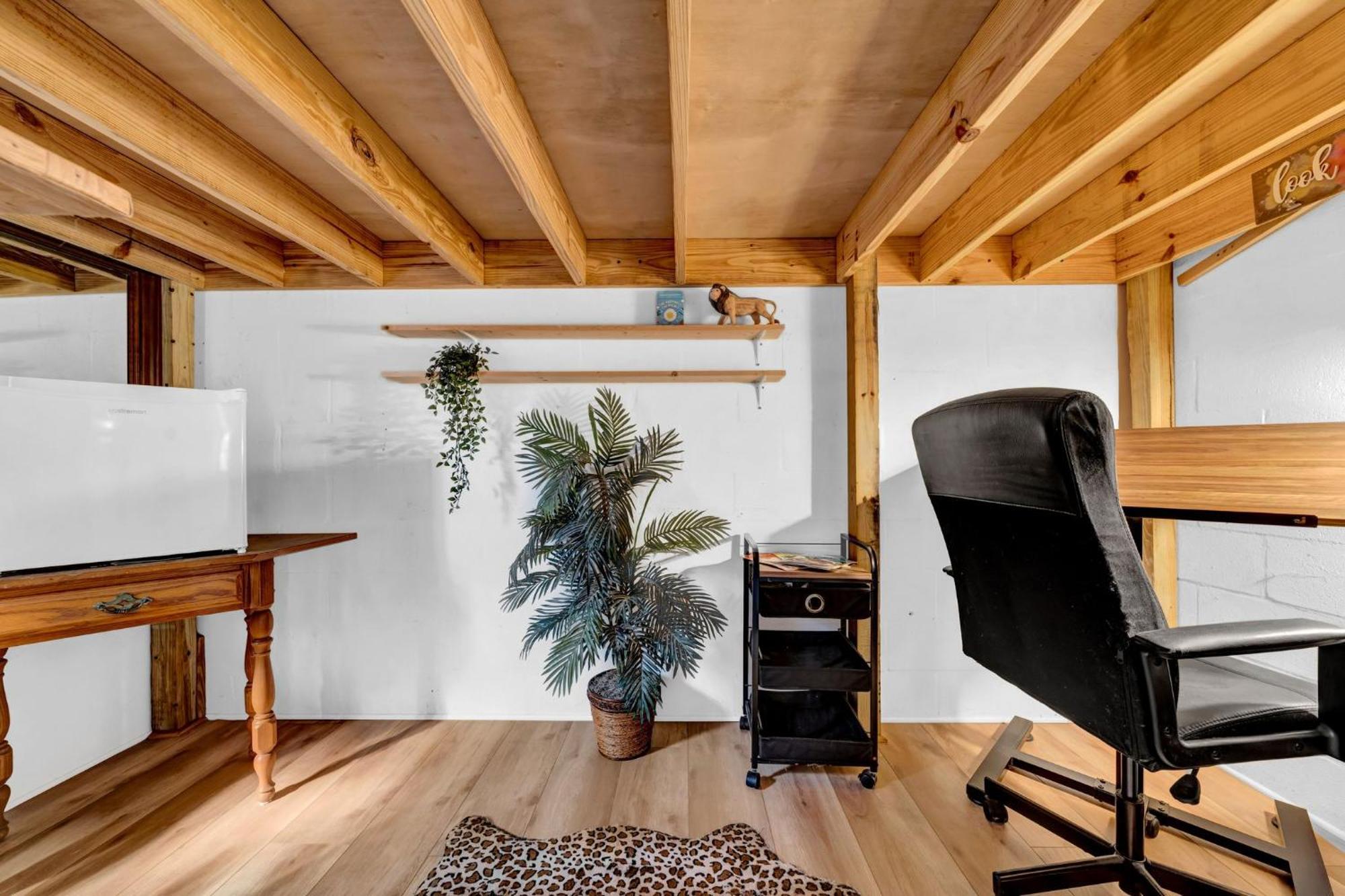 Zen Jungle House By Busch Gardens Sleeps 12 With Outdoor Games & Detached Play Space! Τάμπα Εξωτερικό φωτογραφία
